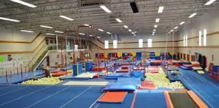 Picture of events in gymnastics